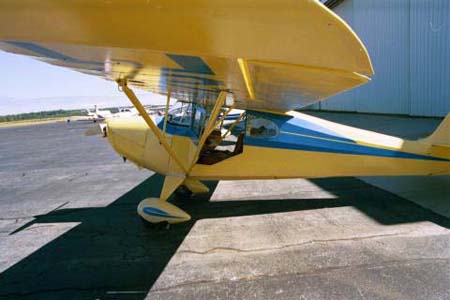 Cub_01